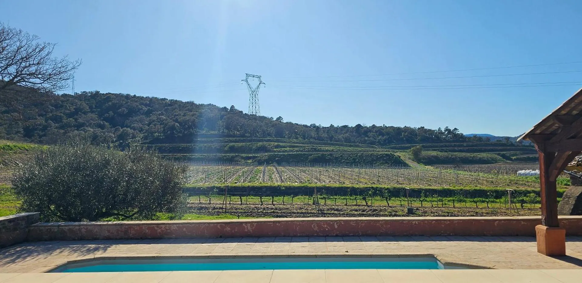 Maison Calme Au Coeur Des Vignes Cogolin